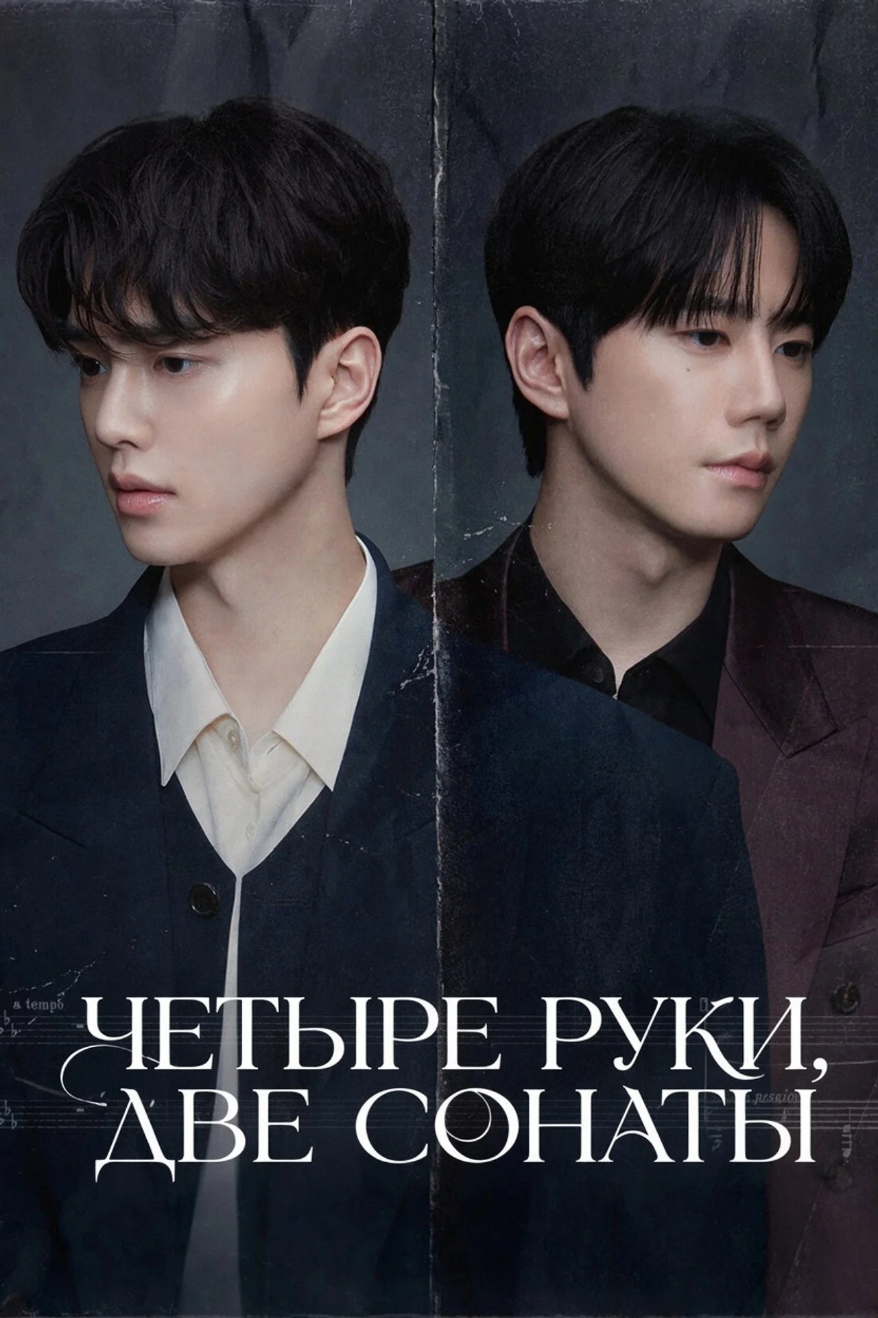 Четыре руки, две сонаты