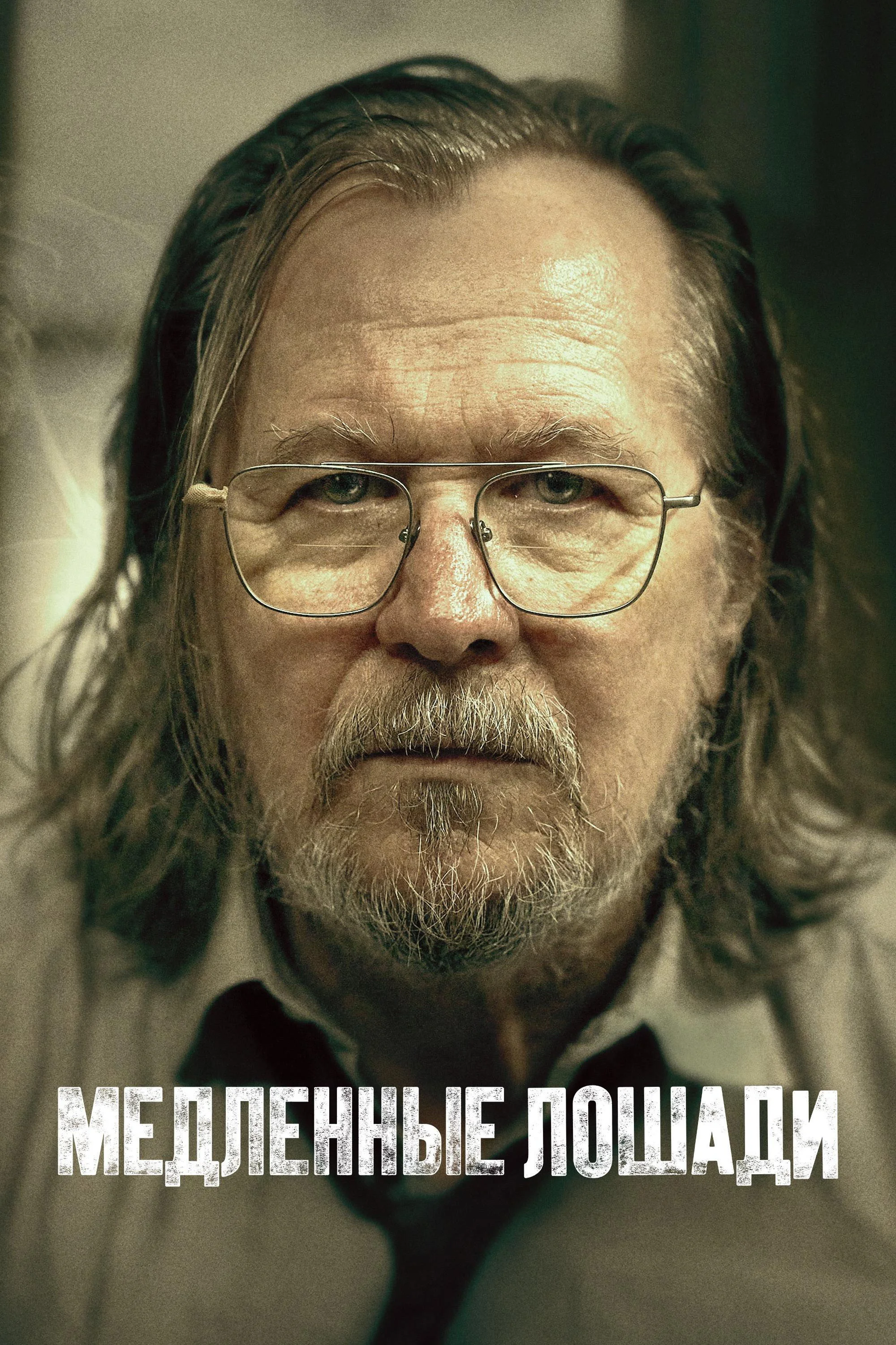 5 сезон